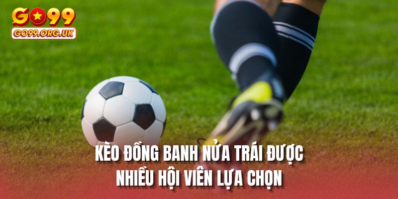 Kèo đồng banh nửa trái được nhiều hội viên lựa chọn